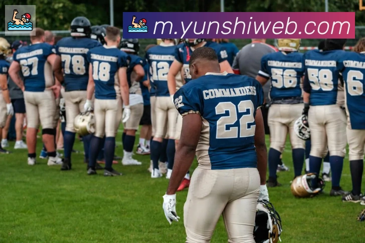 开云kaiyun网页版平台生态图