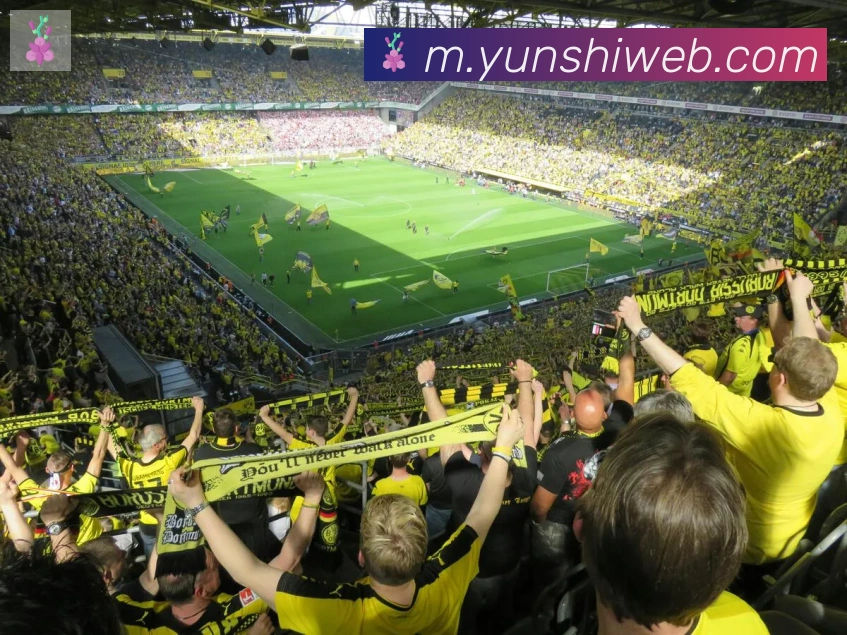 App Interface Preview