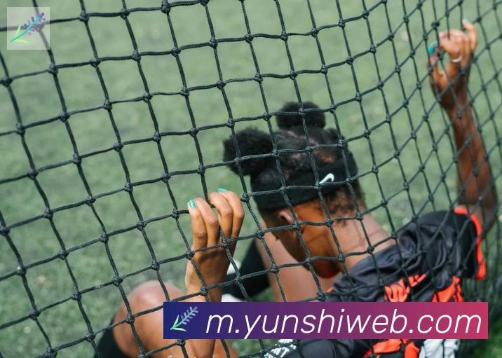 开云kaiyun网页版APP 封面图