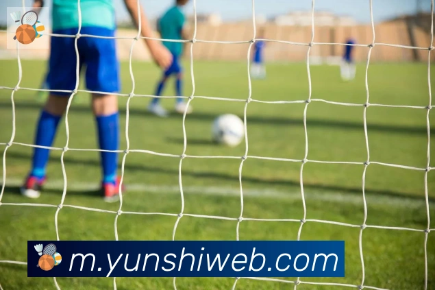 开云kaiyun网页版荣誉